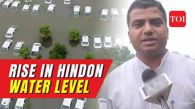 Watch drone visuals: Rise in Hindon water level, cars submerged in Greater Noida's Ecotech 3