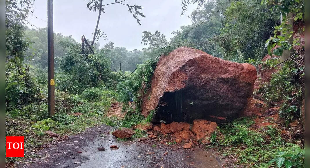 Red alert continues over Karnataka coast; 1 death reported in Dakshina