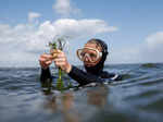 Citizen divers in the Baltic Sea combat climate change by restoring seagrass