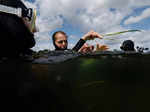 ​Citizen divers in the Baltic Sea combat climate change by restoring seagrass​