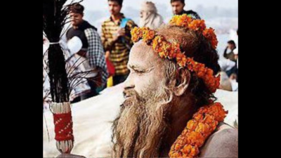 Maha Kumbh to spread in 25 sectors, turnout of 40cr likely