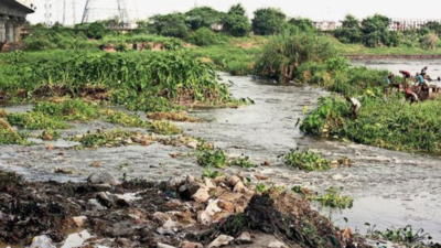Activists say infra projects’ pillars impeding river flow