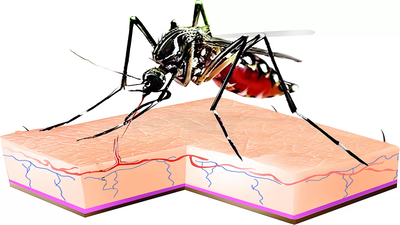 Dengue cases: Health dept steps up measures