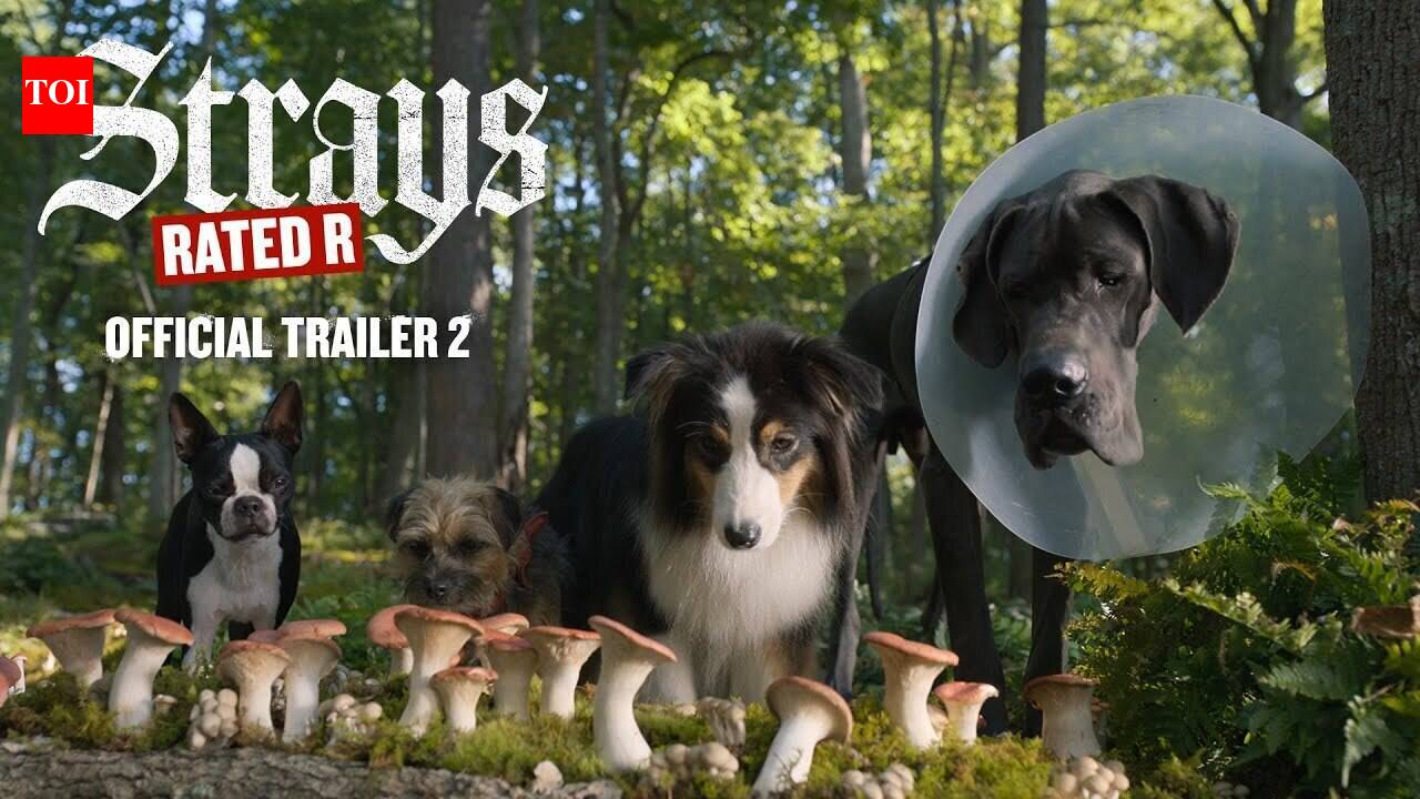 Strays - Official Trailer