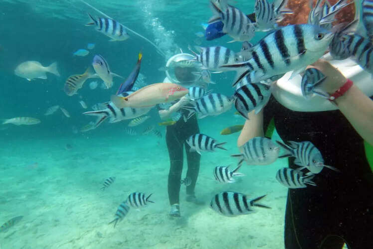 Sea walking at Swaraj Dweep (Havelock)