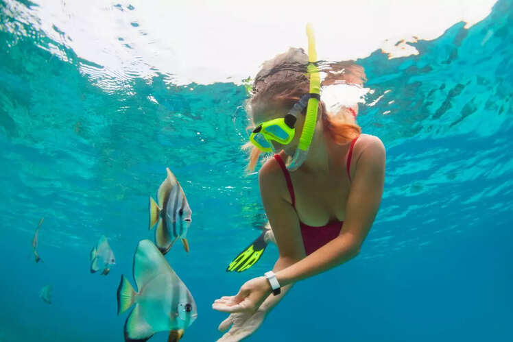 Snorkelling with sea creatures