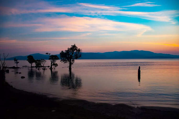 Spend a day at the Chidiya Tapu