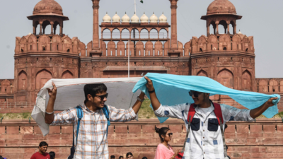 Climate Change: July declared hottest month ever recorded in human