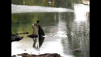 Mhadei home to generations, sanctuary came later: Deviya | Goa News ...