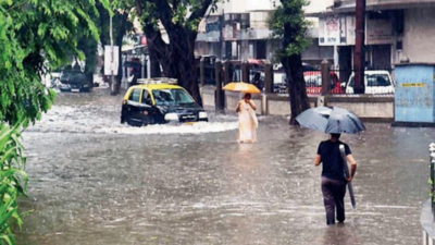 South Mumbai sees third wettest July day in a decade, suburbs flooded too