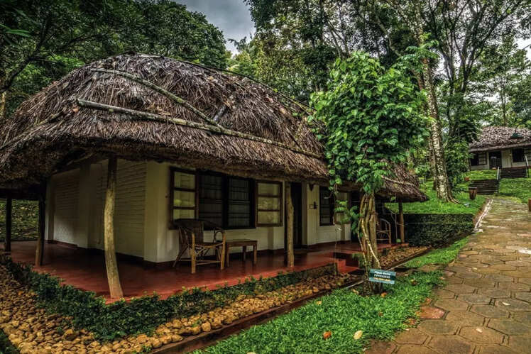 Spice Village &ndash; CGH Earth, Thekkady