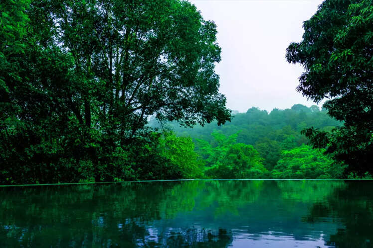 Wayanad Wild &ndash; CGH Earth, Lakkidi