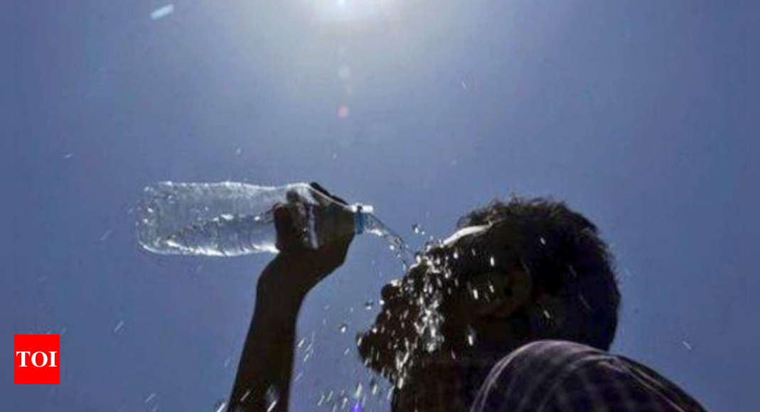 World’s Hottest Month: July was hottest month ever to record, likely in 1.20 lakh years | Nagpur News – Times of India