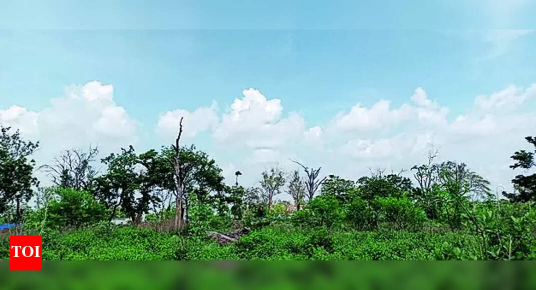 Morning Showers Fail To Quell Temp & Humidity | Bhopal News - Times of ...