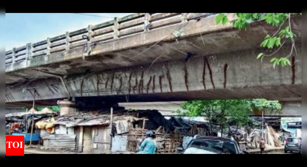 Commuters Rue Poor Condition Of Underpasses Along Nh-16 | Bhubaneswar News - Vimarsana News