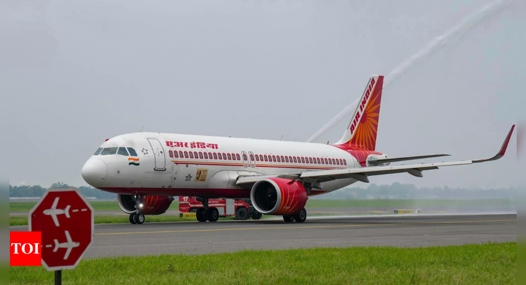 Delhi Paris Air India Flight Air India Parisbound plane returns to