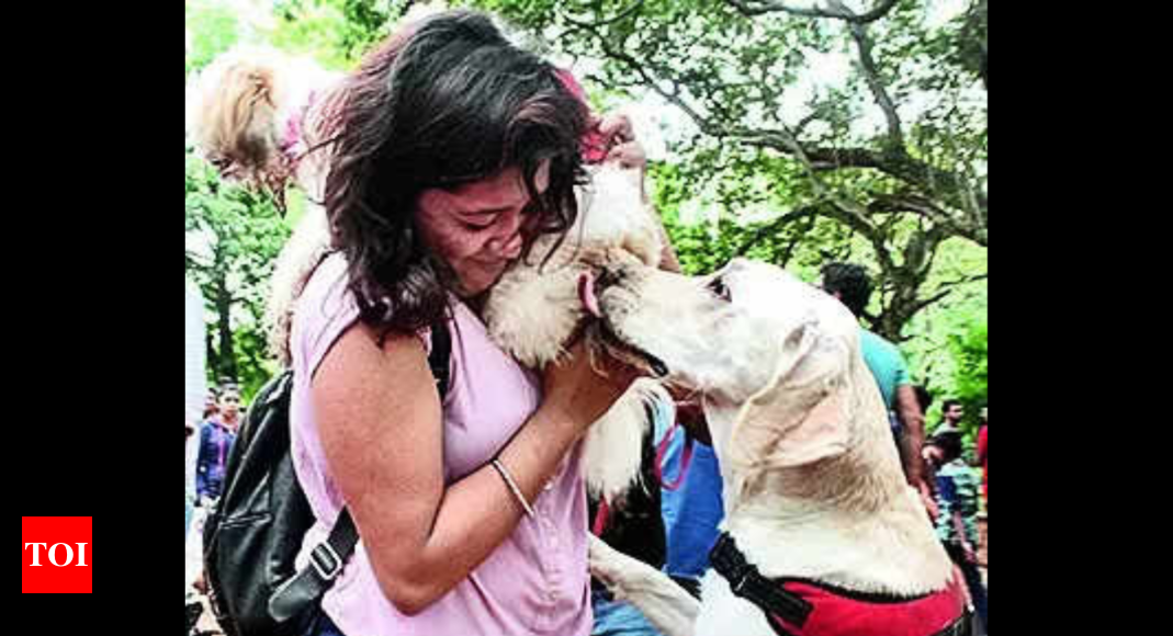 Neighbours’ NOC must to keep a dog in this Uttarakhand town | Dehradun ...