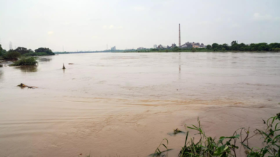 Rain causes Yamuna levels to hover near danger mark