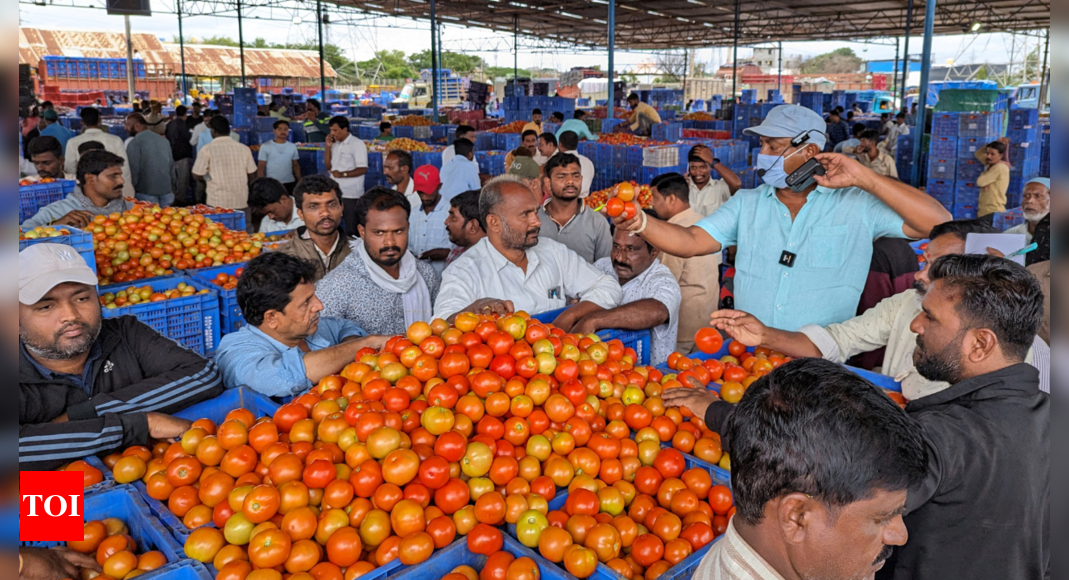 rs-4-crore-in-45-days-andhra-pradesh-farmer-lands-a-windfall-with