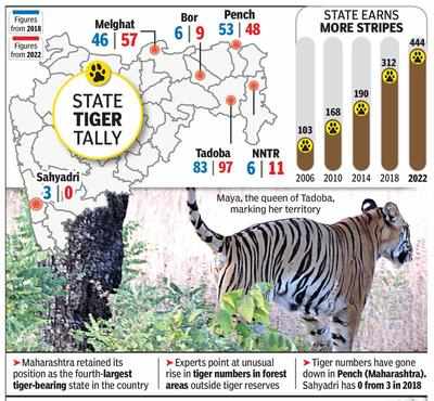 132 more tigers scent-mark Maha as their home | Nagpur News - Times of ...