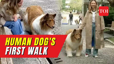 Japanese Man Spends 14 000 To Turn Into A Dog Takes First Walk In   102251858 