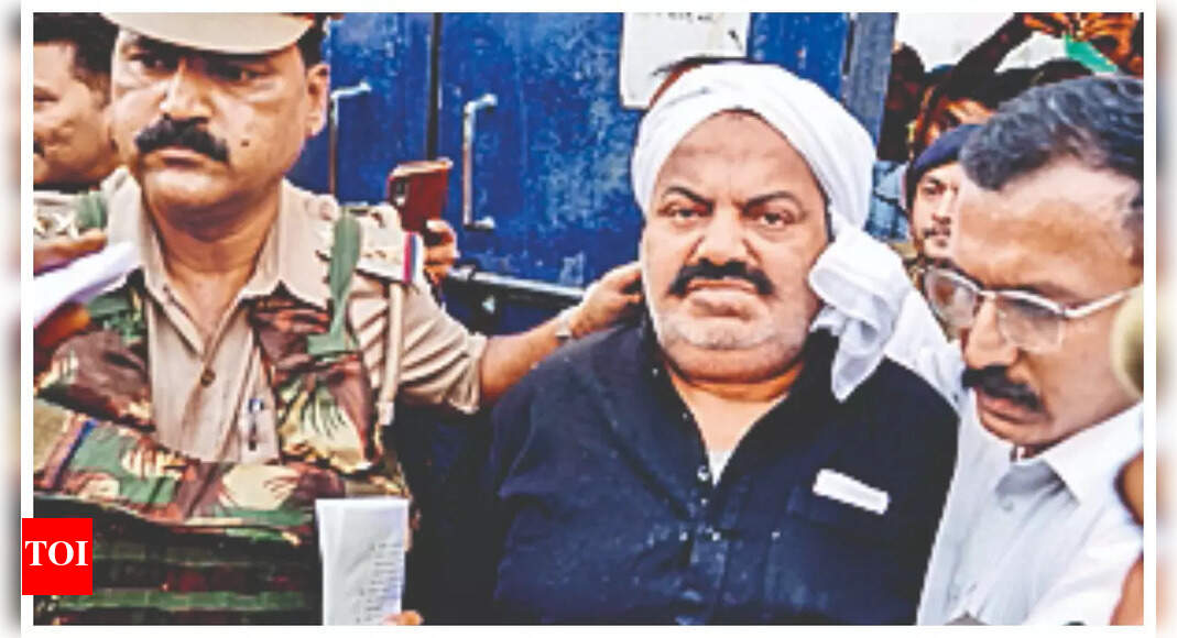 One more Atiq Ahmed's lawyer held in Umesh Pal murder case | Prayagraj ...