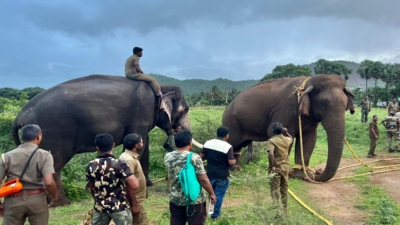 Crop-raiding makhna elephant captured in Tamil Nadu