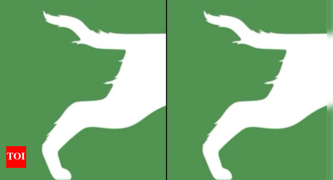 Head or tail? What you see first determines if you're confrontational