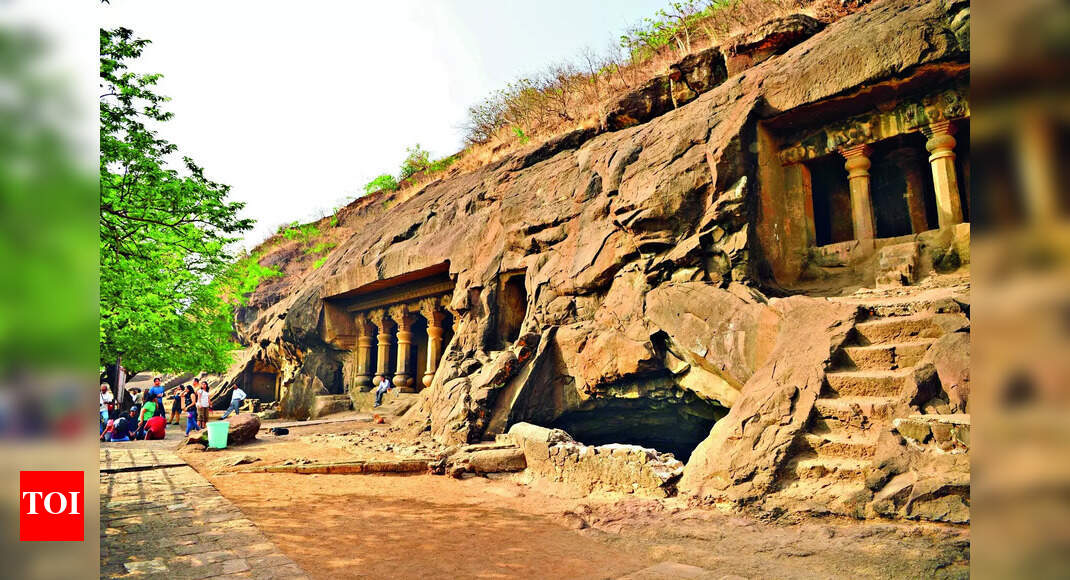 Sapling: Sapling Of Mahabodhi Tree In Lanka To Be Planted In Nashik ...
