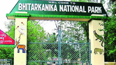 Reopening: After 3-month Break, Bhitarkanika To Reopen Today ...