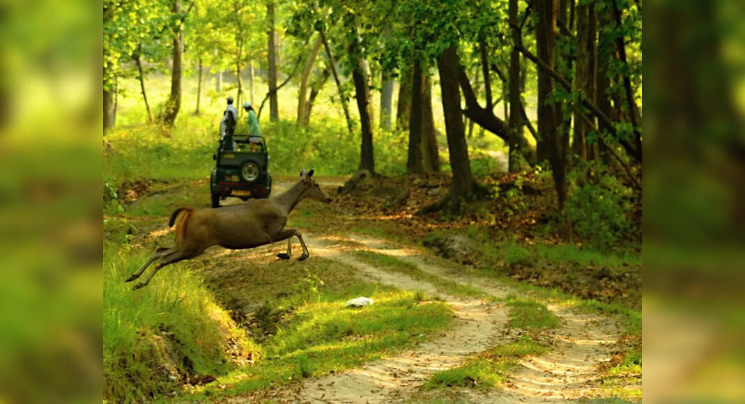 Madhya Pradesh’s best-kept secrets | Times of India Travel