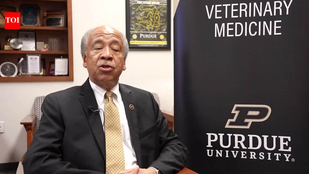 Why diversity is important in vet medicine