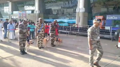 Madurai airport CISF sniffer dogs display their skills | Madurai News ...