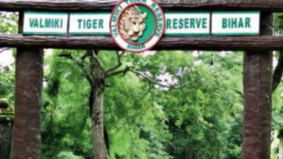 Centre's report hails tiger conservation efforts in VTR