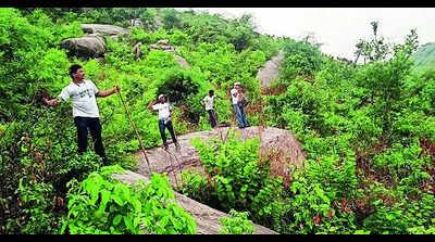 Nature lovers on a mission to make Ganjam hills green
