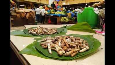 Goa biodiversity board warns against over exploitation of wild mushrooms