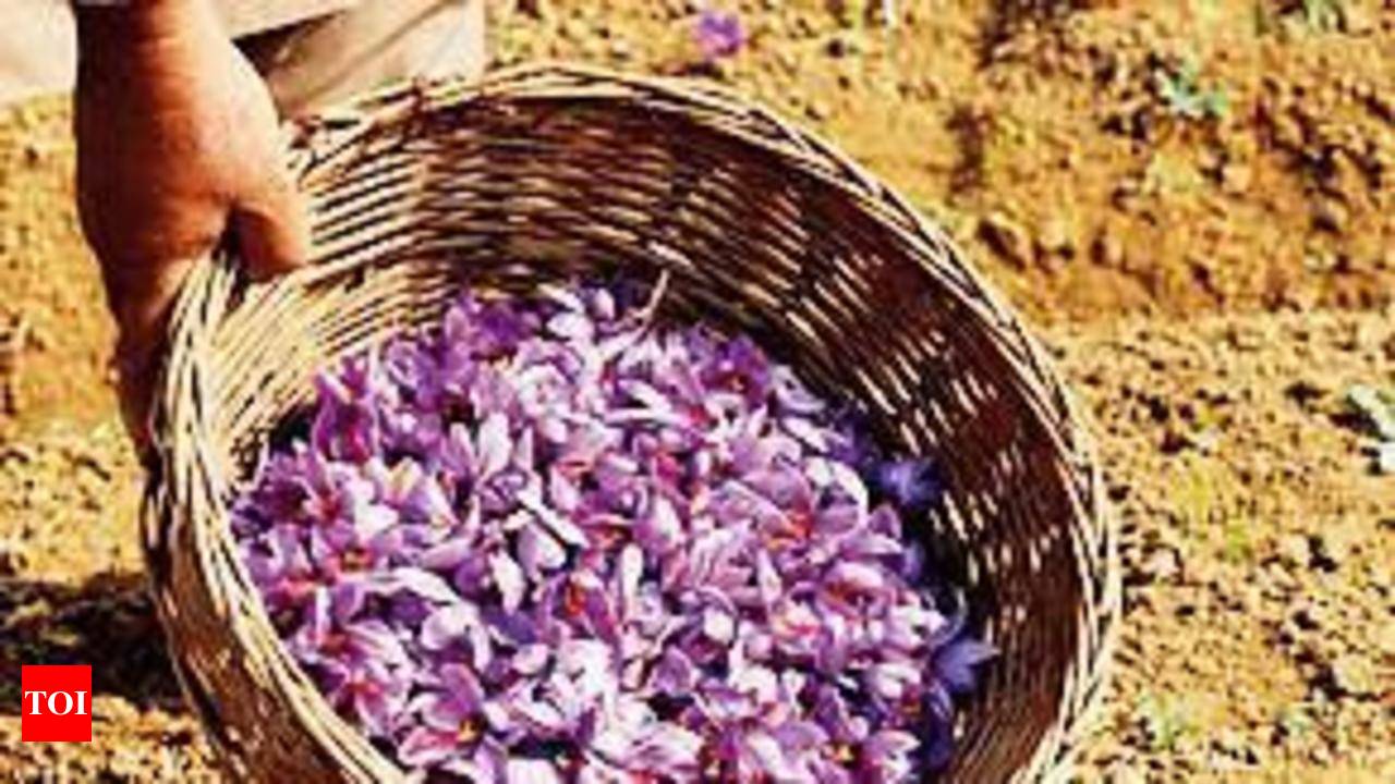 Tatas' Himalayan makes saffron foray - Times of India