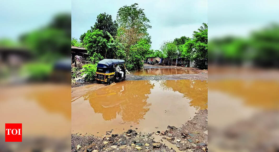 Road Repairs Panel Told To Form Plan For Aarey Road Repairs Funding road-repairs-panel-told-to-form-plan-for-aarey-road-repairs-funding