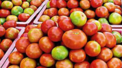 Tomato prices dip as arrivals improve