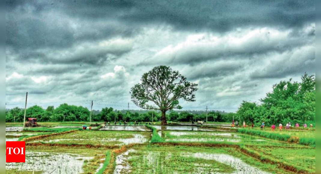 After rain burst, dry and windy days in offing in Telangana Hyderabad