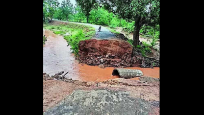 1.2L affected in 15 Odisha districts as rain woes worsen; 2 dead