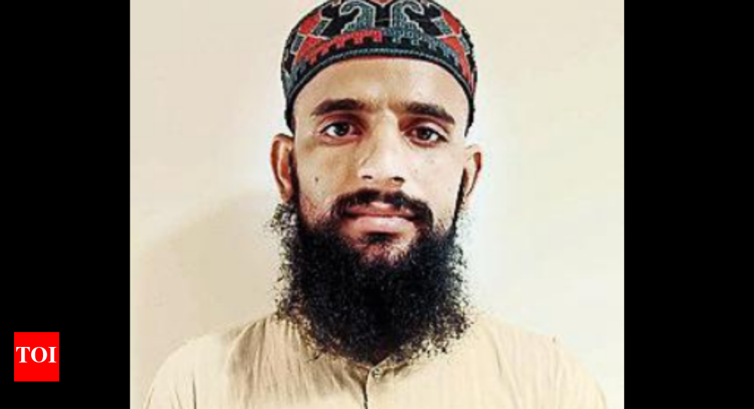 Hizbul Mujahideen: Moradabad man held for links with Hizbul Mujahideen ...
