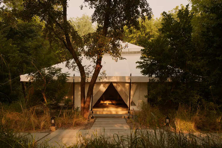 Aman-i-Khas, Ranthambore National Park
