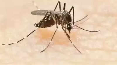 Dengue, conjunctivitis cases spike