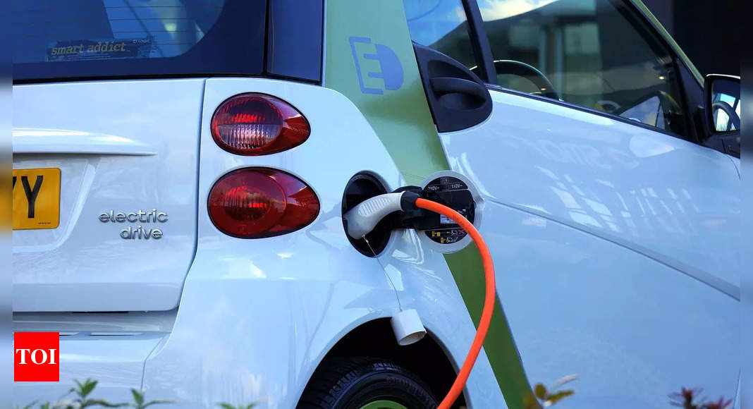 Business lobby urges US to expand EV tax benefits to Vietnam