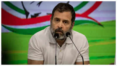 Tamil Nadu Leaders, Congress Cadre Hail SC Stay On Rahul Gandhi’s ...