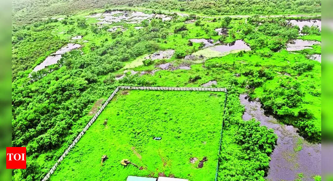 Inclusion Hc Gives 3 Options To Decide On Ghansoli Sports Complex Land