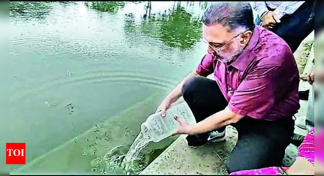 Soft Robotics Minister Releases Gambusia Fish In Mohali Village Pond Chandigarh News Times