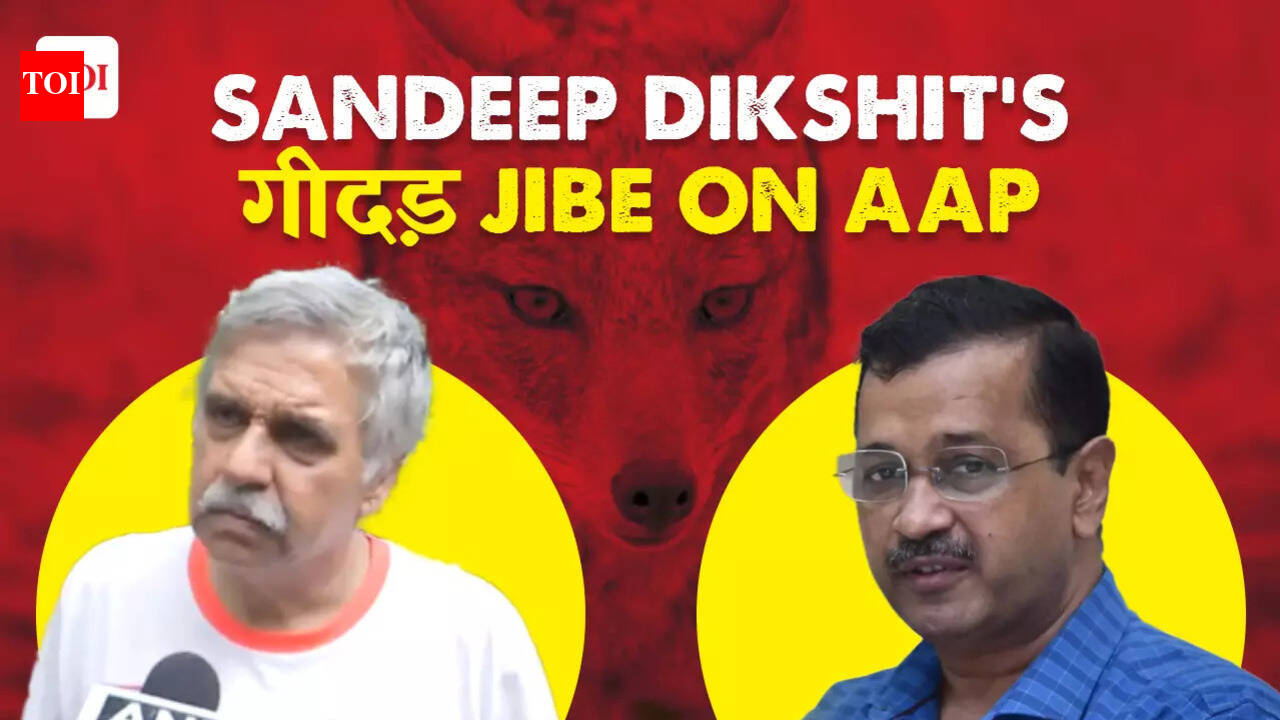 political alliance: 'In a jungle where lions and elephants live ...