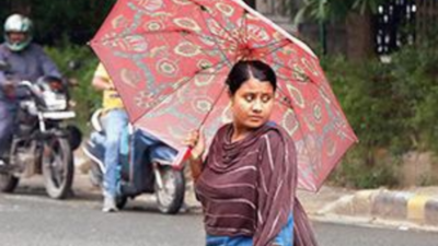 Showers keep city cool, more likely today, says IMD